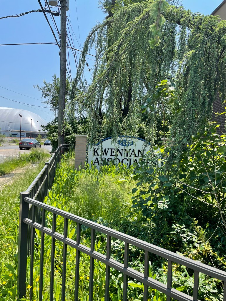 Case Still Pending For Liberian Opposition Politician Daniel E. Cassell Detained In U.S.